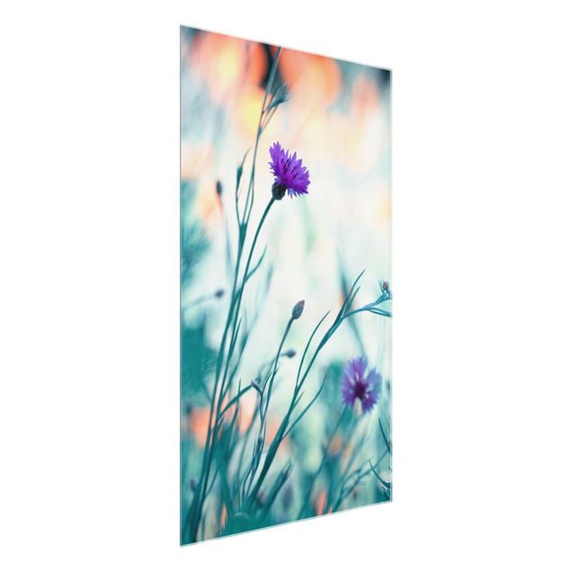 Glass print - Cornflowers