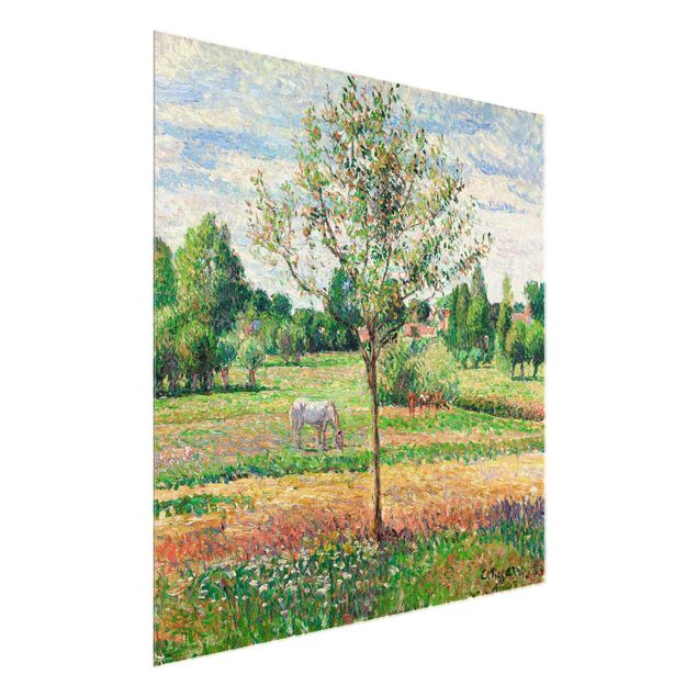 Glass print - Camille Pissarro - Meadow with Grey Horse, Eragny