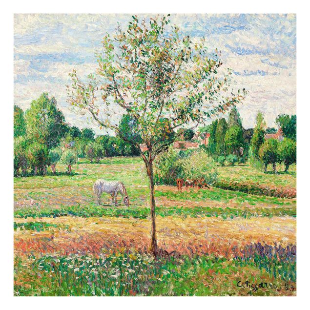 Glass print - Camille Pissarro - Meadow with Grey Horse, Eragny