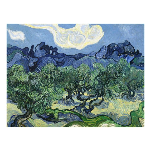Glass print - Vincent Van Gogh - Olive Trees