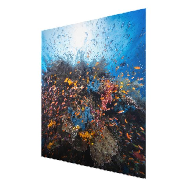 Glass print - Lagoon With Fish