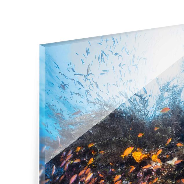 Glass print - Lagoon With Fish