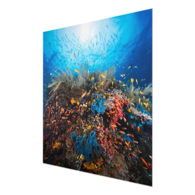 Glass print - Lagoon Underwater