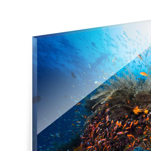 Glass print - Lagoon Underwater