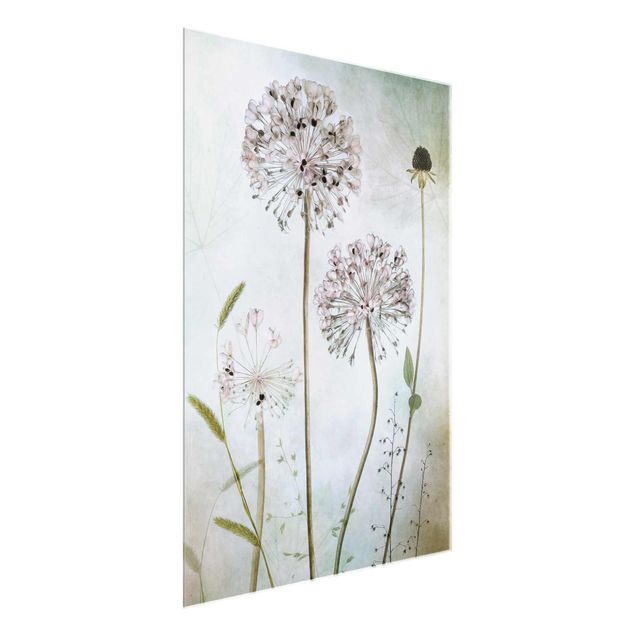 Glass print - Allium flowers in pastel
