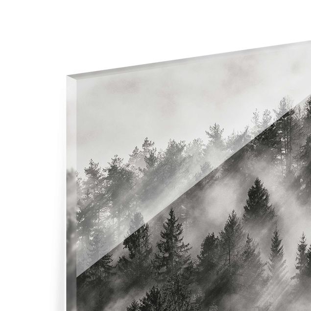 Glass print - Light Rays In The Coniferous Forest