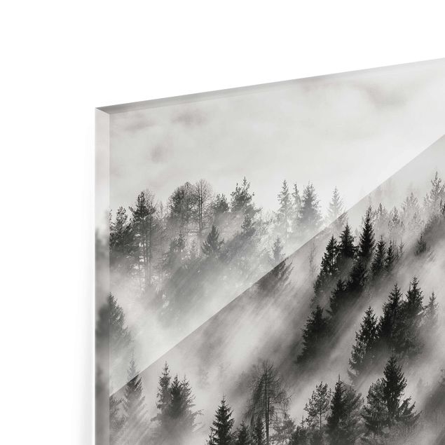 Glass print - Light Rays In The Coniferous Forest