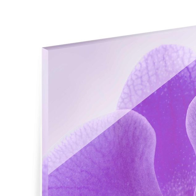 Glass print - Purple Orchid On Water