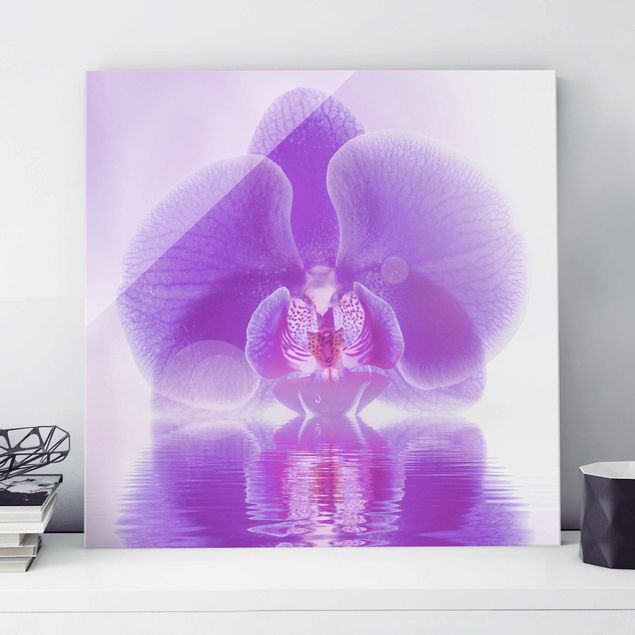 Glas Magnettafel Purple Orchid On Water