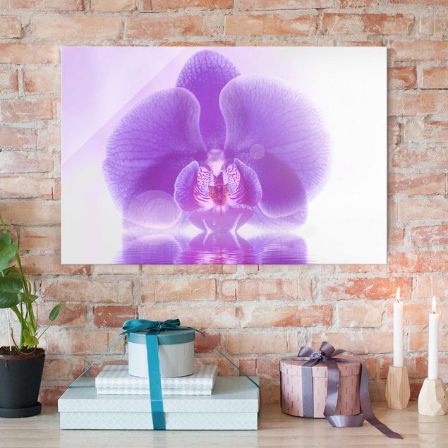 Glass print - Purple Orchid On Water