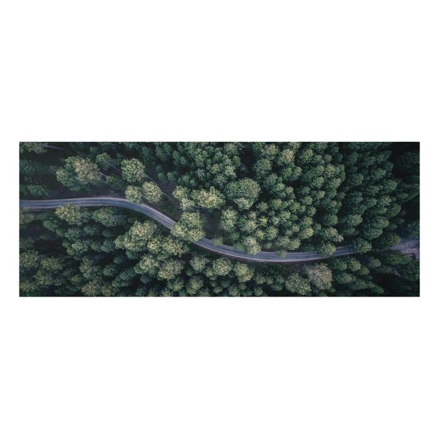 Glass print - Aerial View - Forest Road From The Top