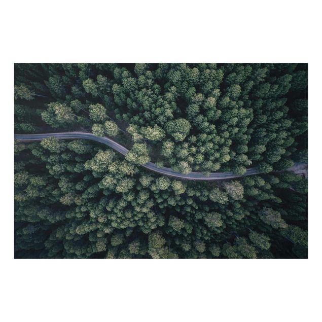 Glass print - Aerial View - Forest Road From The Top