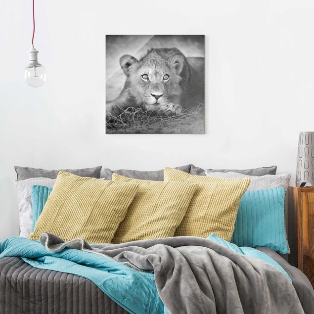 Glass print - Lurking Lionbaby