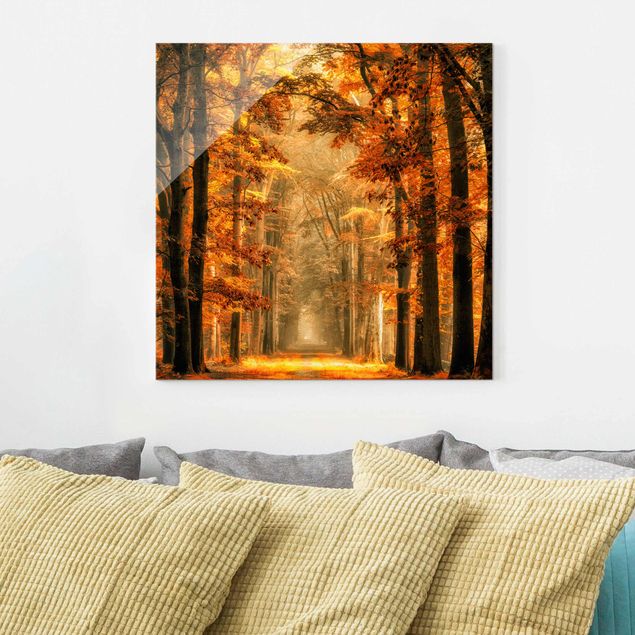 Glass print - Enchanted Forest In Autumn