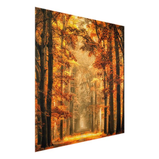 Glass print - Enchanted Forest In Autumn