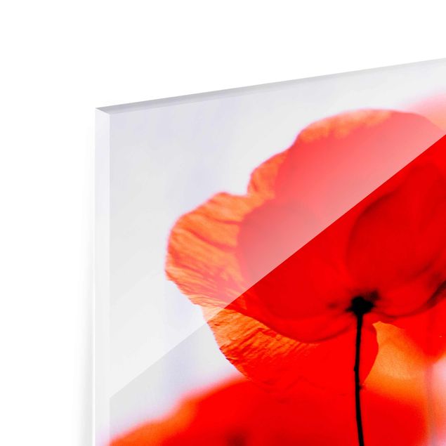 Glass print - Magic Poppies