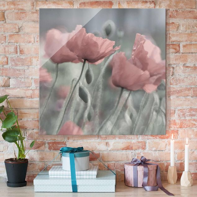 Glas Magnetboard Picturesque Poppy
