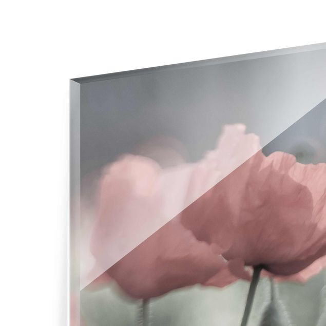 Glass print - Picturesque Poppy