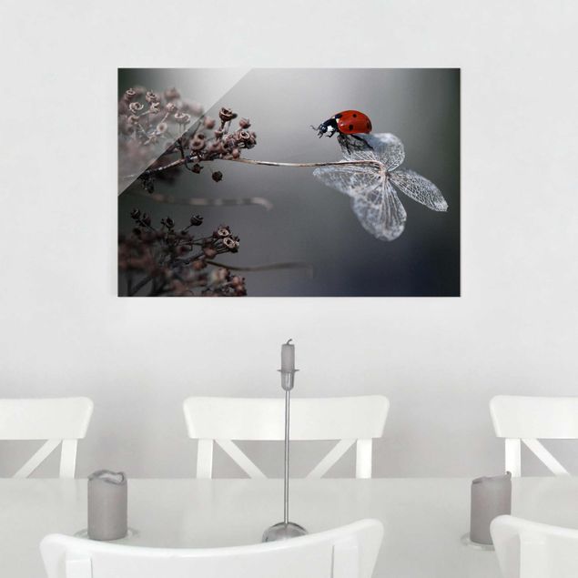 Glas Magnetboard Ladybird On Hydrangea