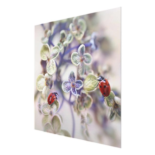 Glass print - Ladybird In The Garden