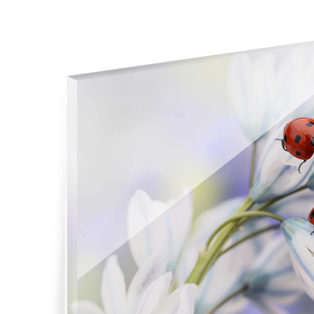 Glass print - Ladybird Couple