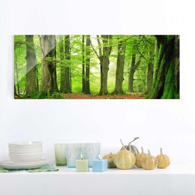 Glas Magnetboard Mighty Beech Trees