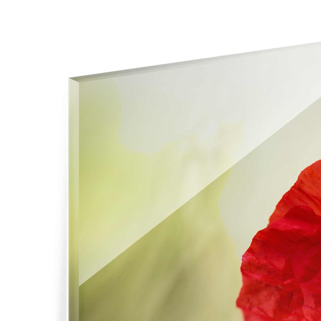 Glass print - Poppy In The Garden