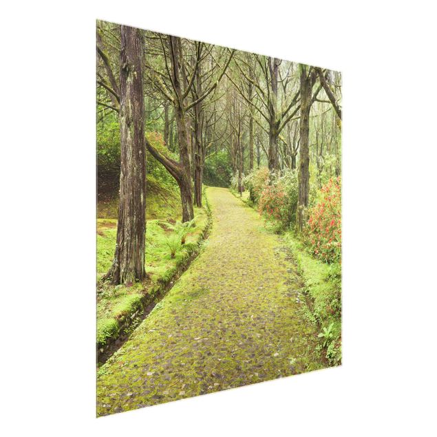 Glass print - Moss-covered Road