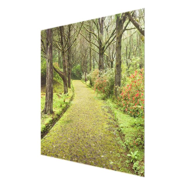 Glass print - Moss-covered Road