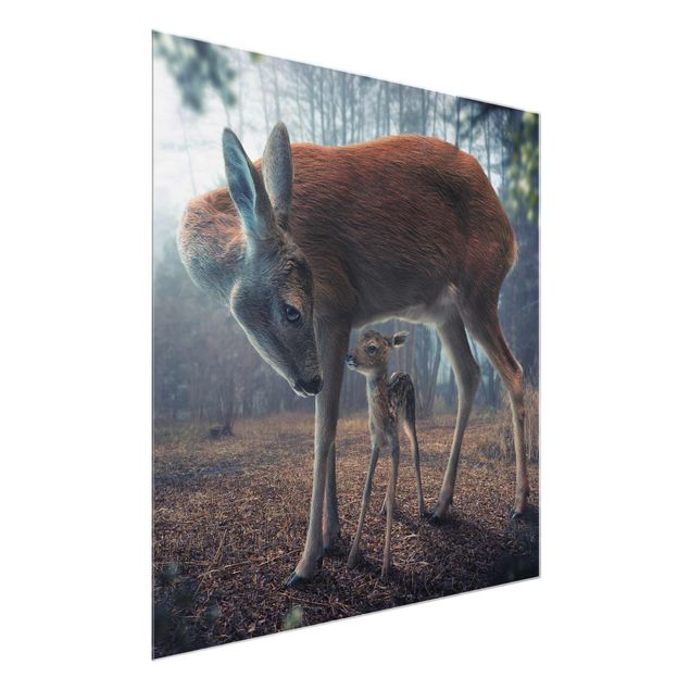 Glass print - Mother And Fawn