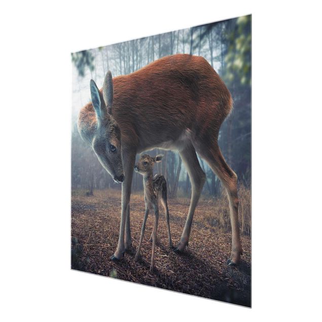 Glass print - Mother And Fawn