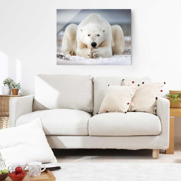 Glass print - Contemplative Polar Bear