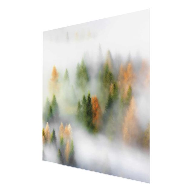 Glass print - Cloud Forest In Autumn