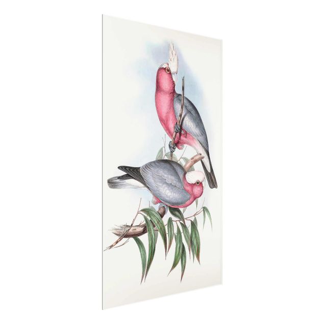 Glass print - Pastel Parrots II