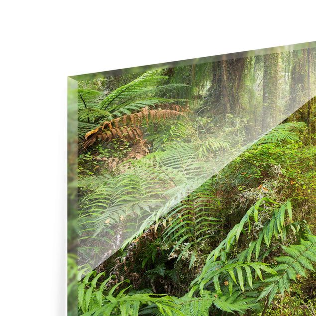 Glass print - Path In The Jungle