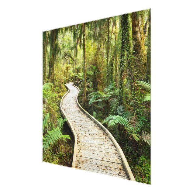 Glass print - Path In The Jungle