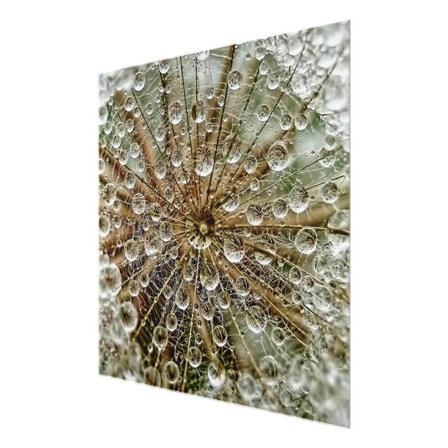 Glass print - Dandelion In Autumn