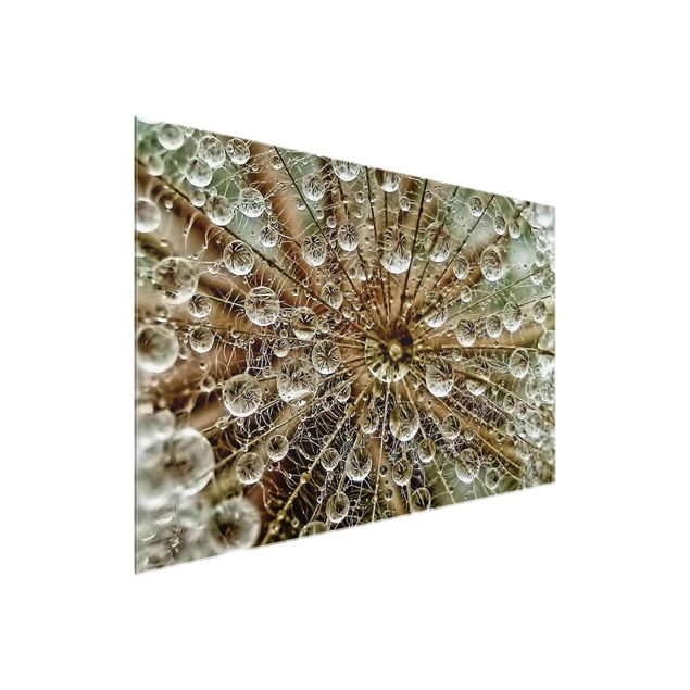 Glass print - Dandelion In Autumn