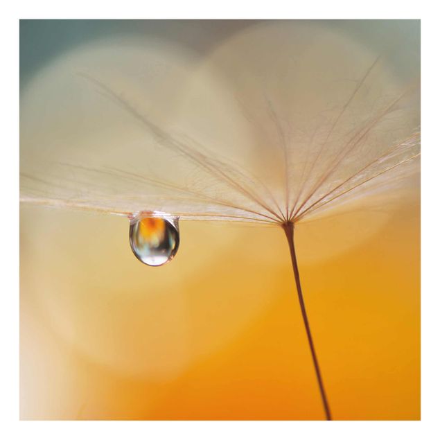 Glass print - Dandelion In Orange