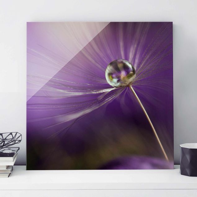 Magnettafel Glas Dandelion In Violet