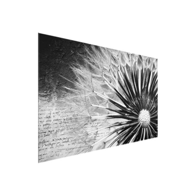 Glass print - Dandelion Black & White