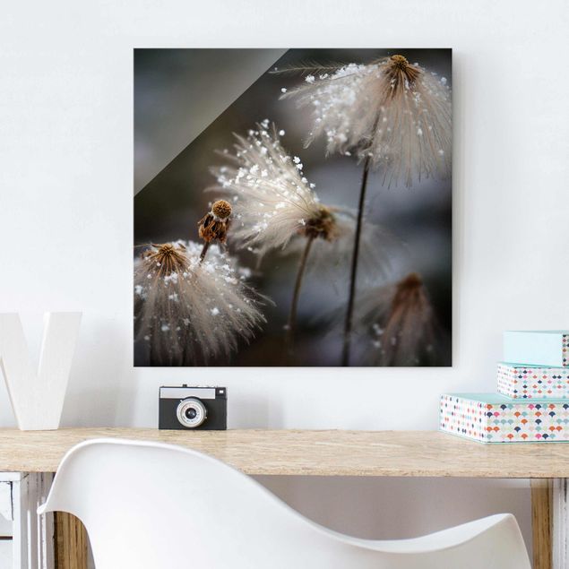 Glas Magnettafel Dandelions With Snowflakes