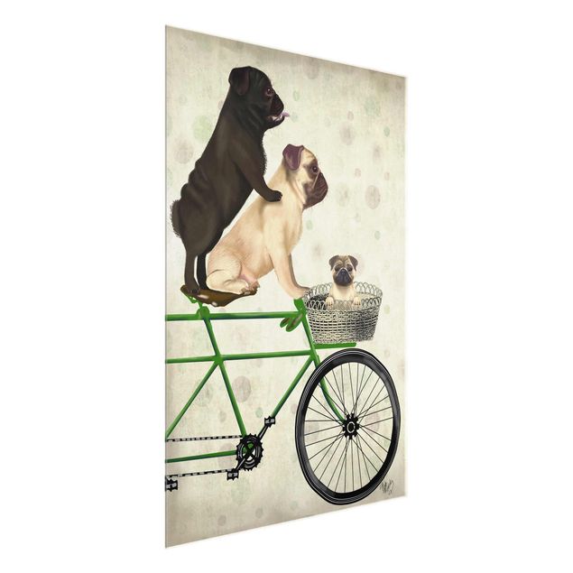 Glass print - Cycling - Pugs On Bike