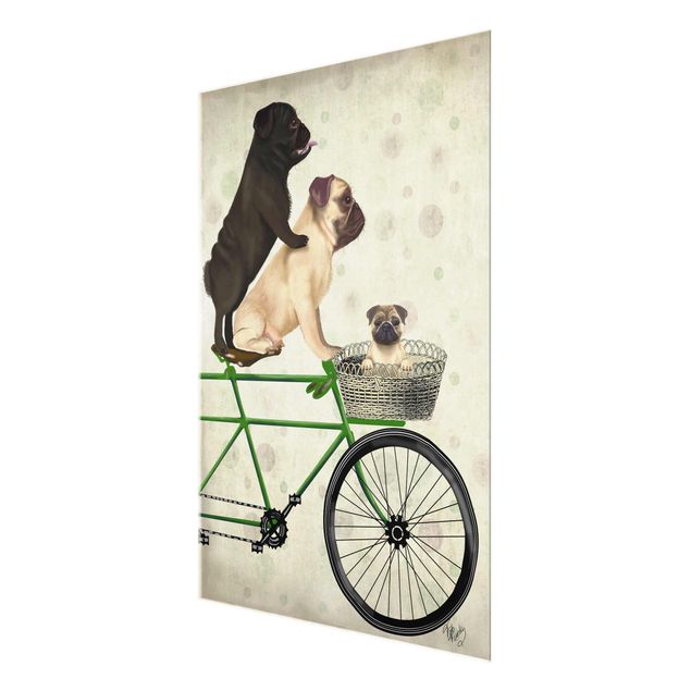Glass print - Cycling - Pugs On Bike