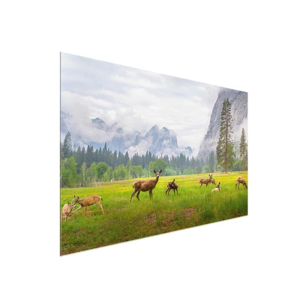 Glass print - Deer In The Mountains