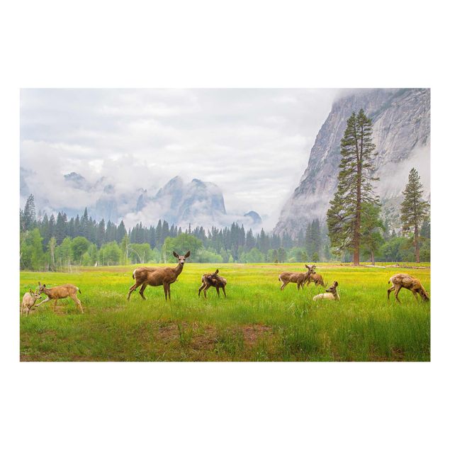 Glass print - Deer In The Mountains