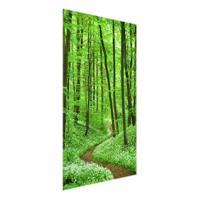 Glass print - Romantic Forest Track