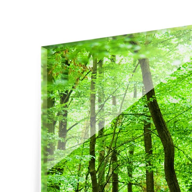 Glass print - Romantic Forest Track