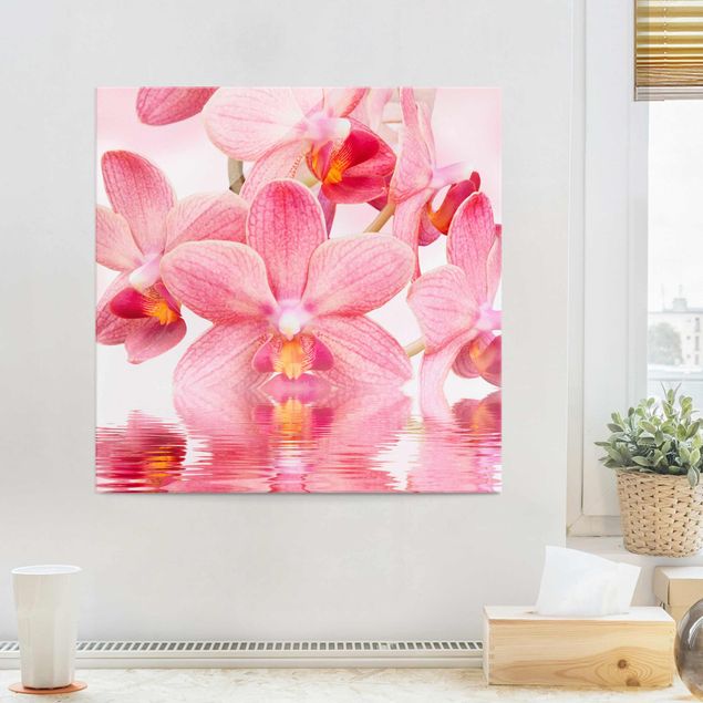 Glass print - Light Pink Orchid On Water
