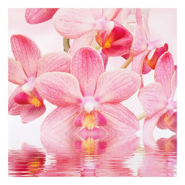 Glass print - Light Pink Orchid On Water